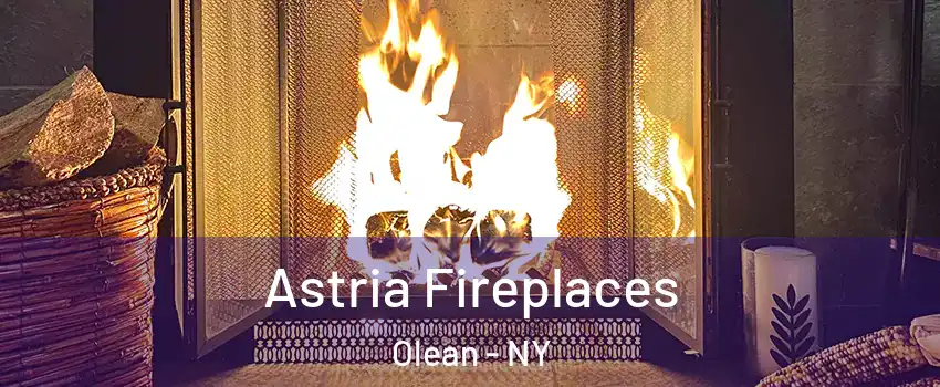  Astria Fireplaces Olean - NY