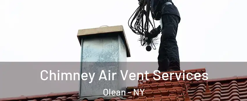  Chimney Air Vent Services Olean - NY