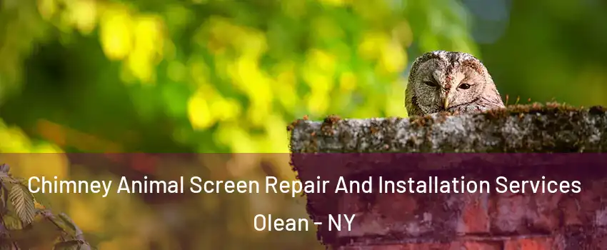  Chimney Animal Screen Repair And Installation Services Olean - NY
