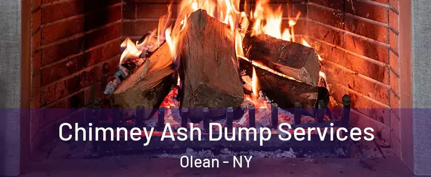 Chimney Ash Dump Services Olean - NY