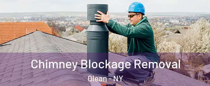  Chimney Blockage Removal Olean - NY