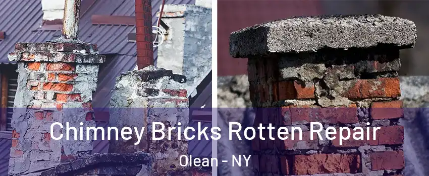  Chimney Bricks Rotten Repair Olean - NY