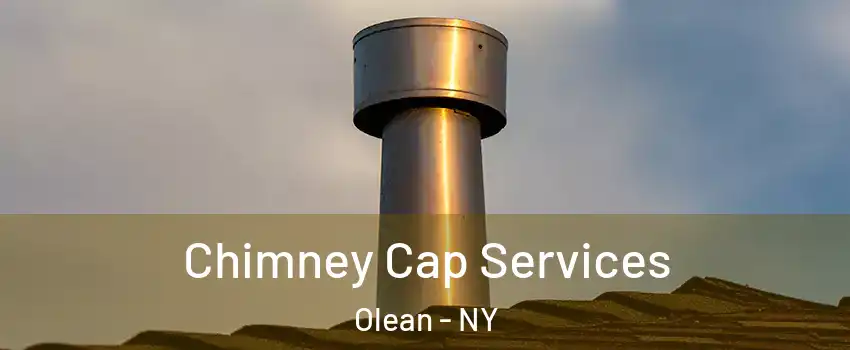  Chimney Cap Services Olean - NY