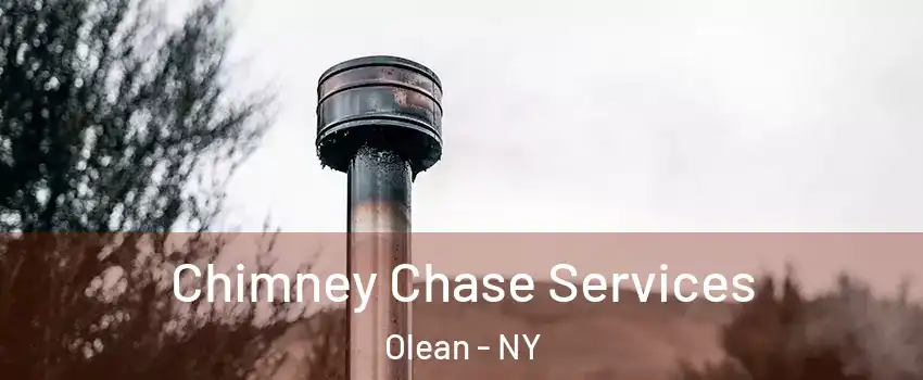  Chimney Chase Services Olean - NY