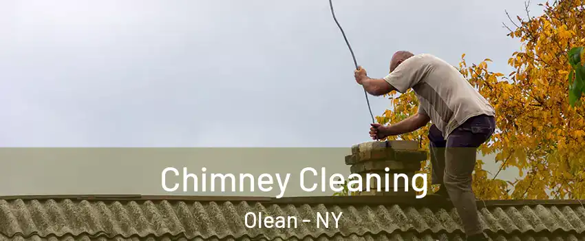  Chimney Cleaning Olean - NY