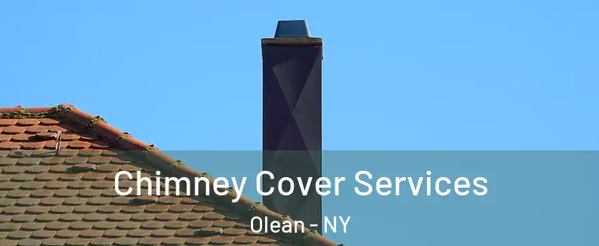  Chimney Cover Services Olean - NY