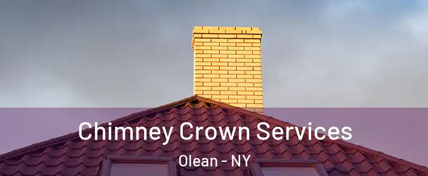  Chimney Crown Services Olean - NY