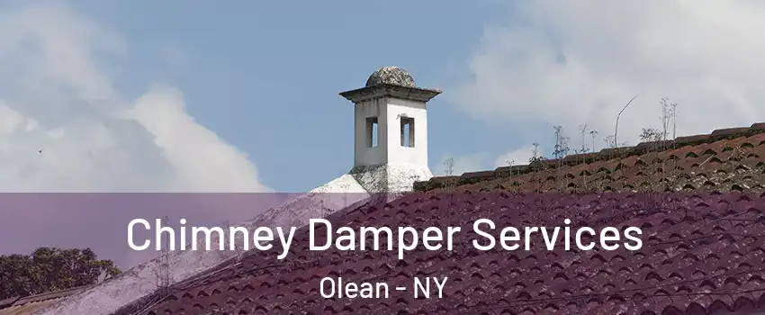  Chimney Damper Services Olean - NY