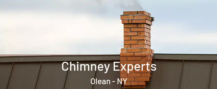  Chimney Experts Olean - NY