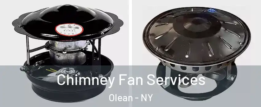  Chimney Fan Services Olean - NY