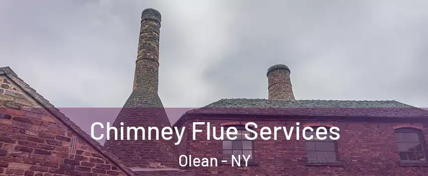  Chimney Flue Services Olean - NY