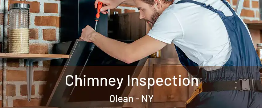  Chimney Inspection Olean - NY