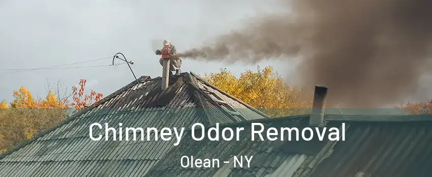  Chimney Odor Removal Olean - NY