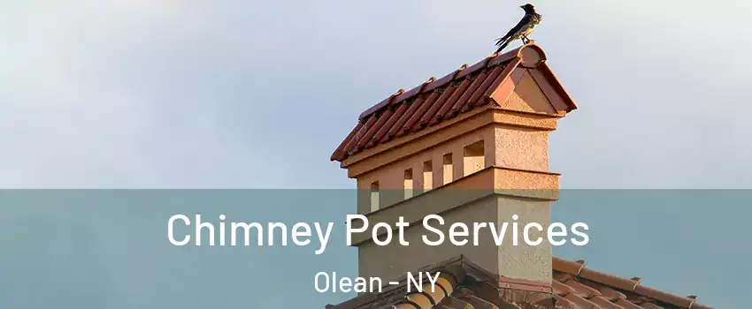  Chimney Pot Services Olean - NY