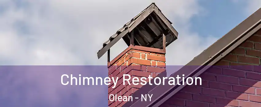  Chimney Restoration Olean - NY