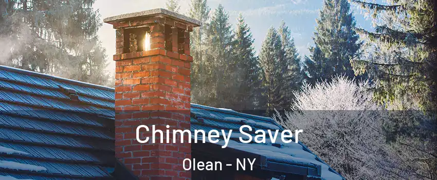  Chimney Saver Olean - NY
