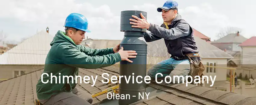  Chimney Service Company Olean - NY