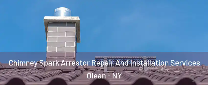  Chimney Spark Arrestor Repair And Installation Services Olean - NY