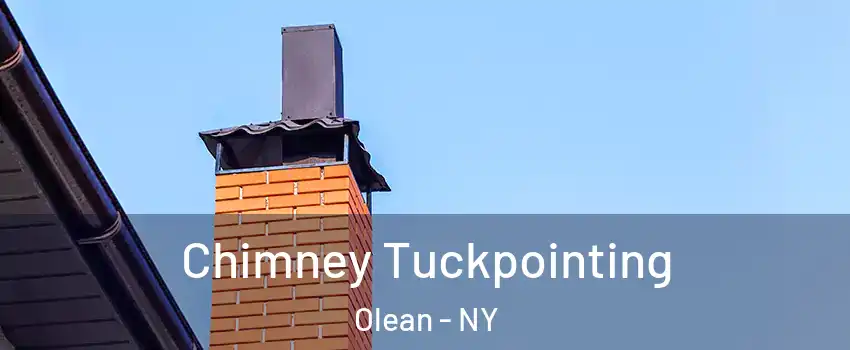  Chimney Tuckpointing Olean - NY