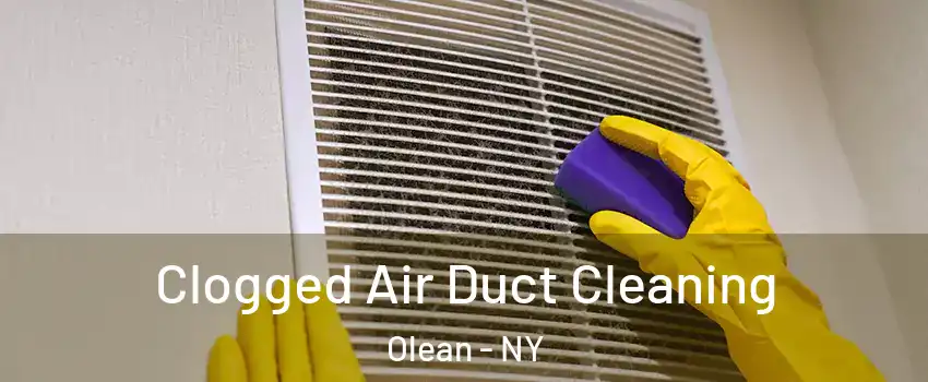  Clogged Air Duct Cleaning Olean - NY