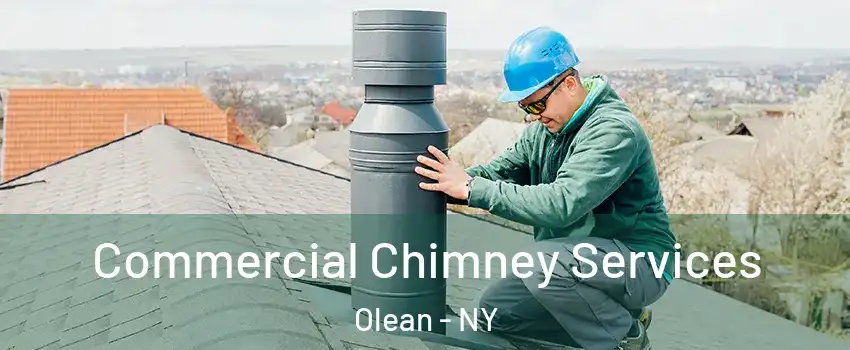 Commercial Chimney Services Olean - NY