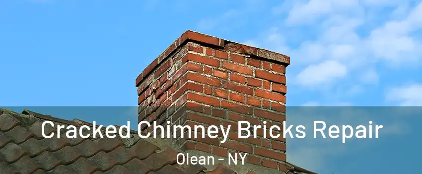  Cracked Chimney Bricks Repair Olean - NY