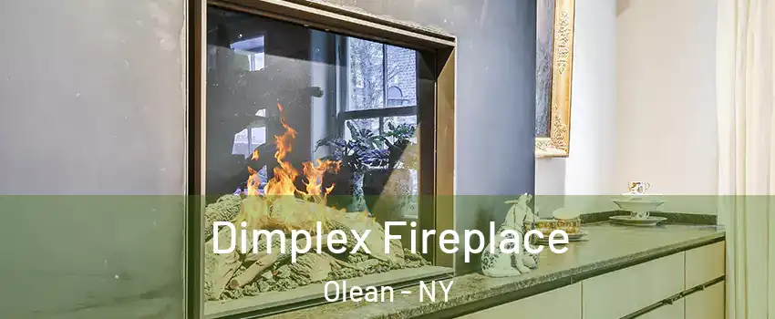  Dimplex Fireplace Olean - NY