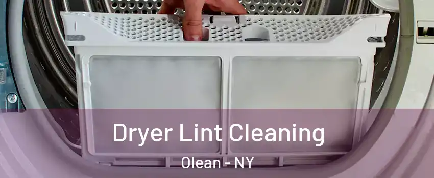  Dryer Lint Cleaning Olean - NY
