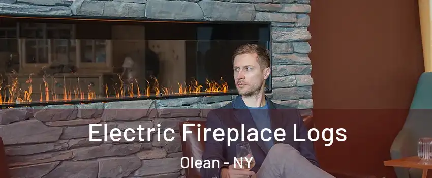  Electric Fireplace Logs Olean - NY
