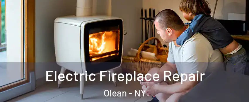  Electric Fireplace Repair Olean - NY