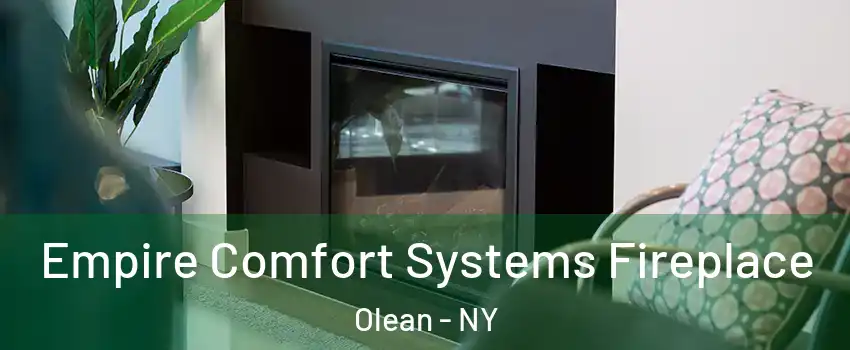  Empire Comfort Systems Fireplace Olean - NY