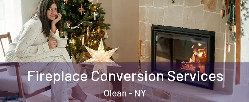  Fireplace Conversion Services Olean - NY