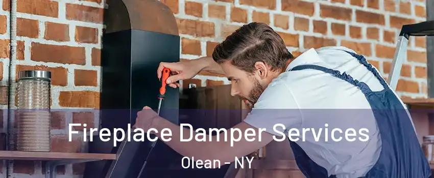  Fireplace Damper Services Olean - NY