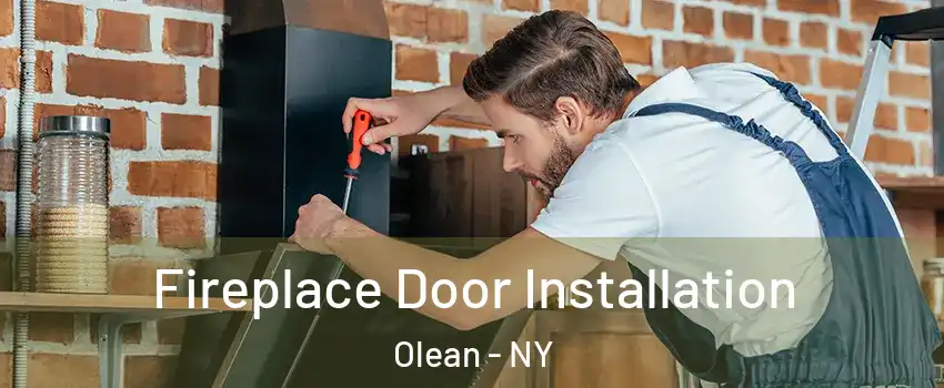  Fireplace Door Installation Olean - NY