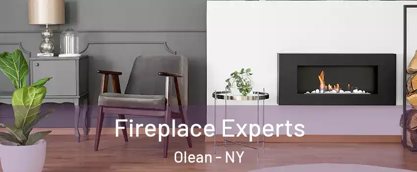  Fireplace Experts Olean - NY