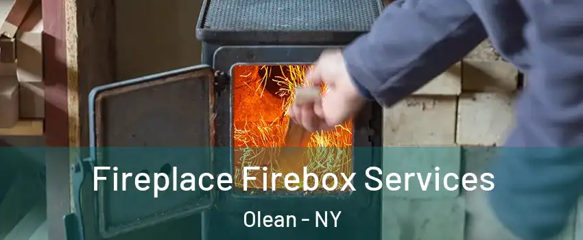  Fireplace Firebox Services Olean - NY