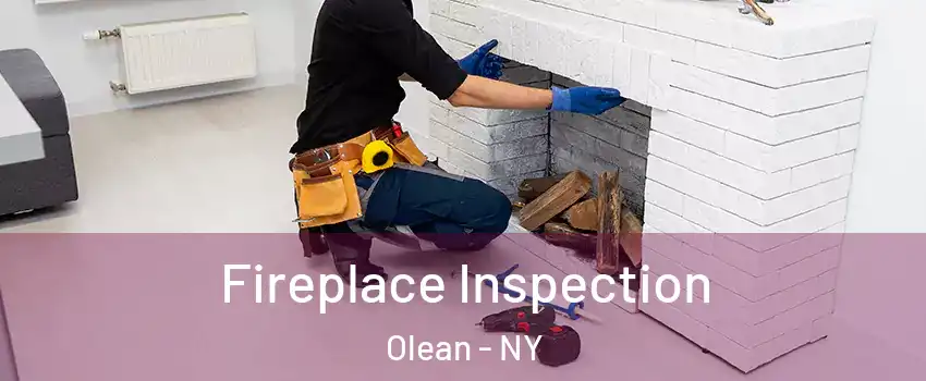  Fireplace Inspection Olean - NY