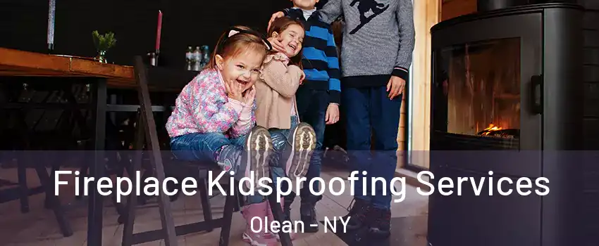  Fireplace Kidsproofing Services Olean - NY
