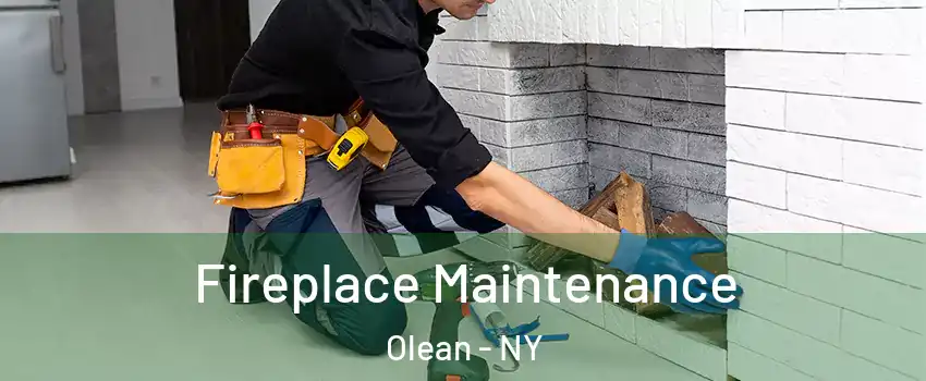  Fireplace Maintenance Olean - NY