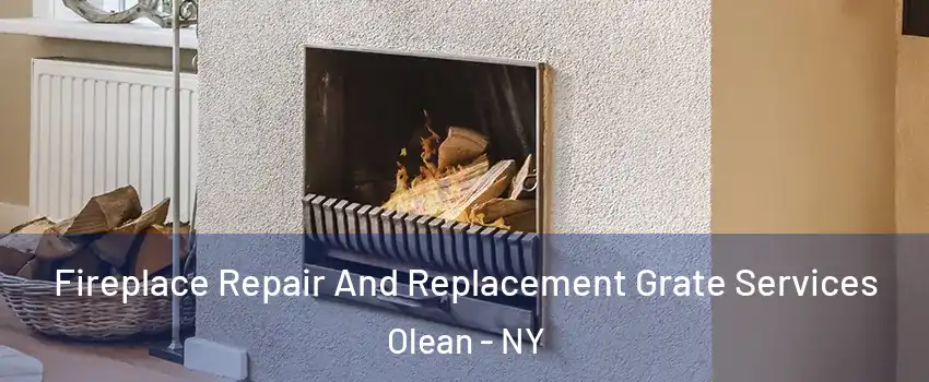  Fireplace Repair And Replacement Grate Services Olean - NY