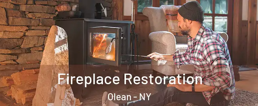  Fireplace Restoration Olean - NY