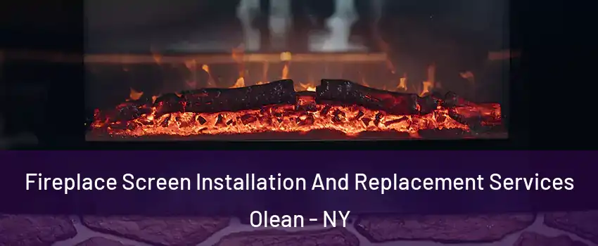  Fireplace Screen Installation And Replacement Services Olean - NY
