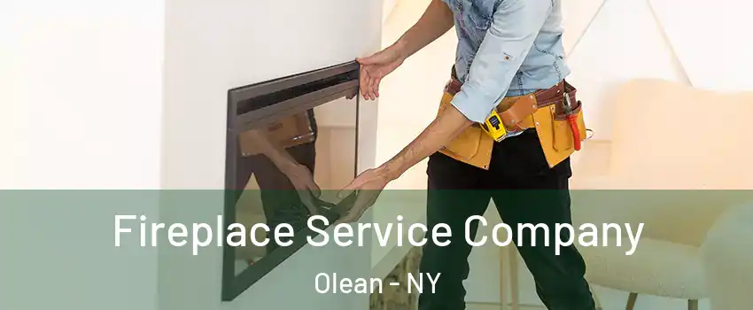  Fireplace Service Company Olean - NY