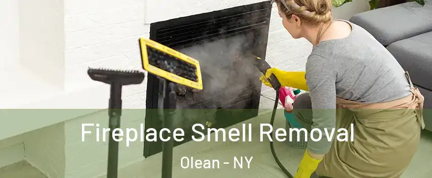  Fireplace Smell Removal Olean - NY