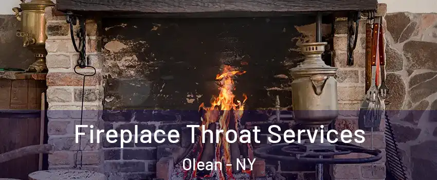  Fireplace Throat Services Olean - NY