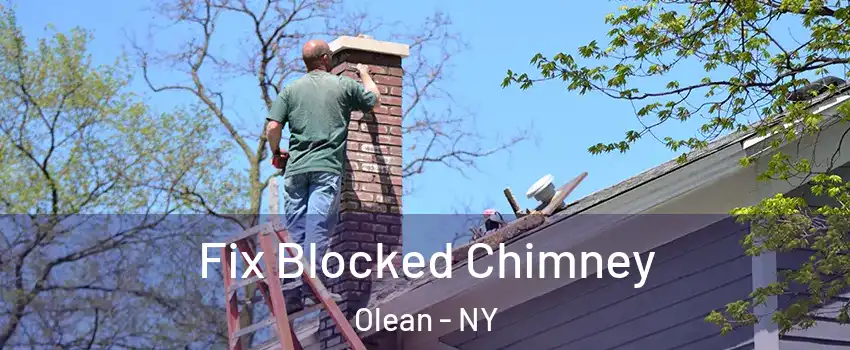  Fix Blocked Chimney Olean - NY