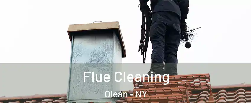  Flue Cleaning Olean - NY