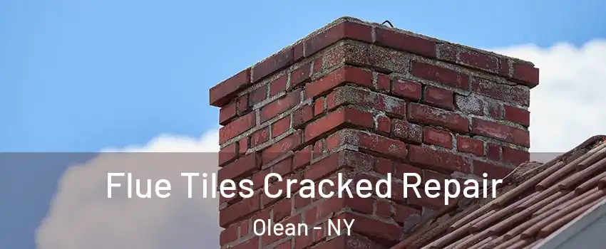  Flue Tiles Cracked Repair Olean - NY