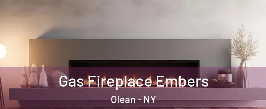  Gas Fireplace Embers Olean - NY