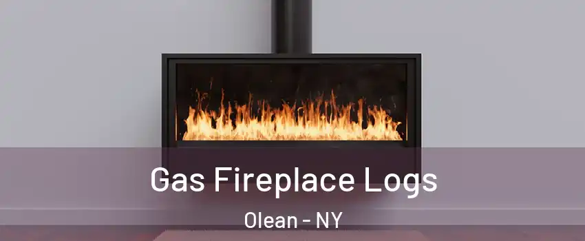  Gas Fireplace Logs Olean - NY
